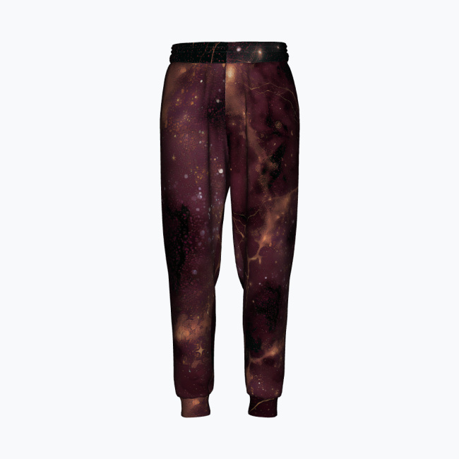 ddd515fd46142069bed2b58dbe9497814c7512ec.jpg PLUM NOIR ALCHEMY Spodnie Dresowe Męskie - obrazek 1